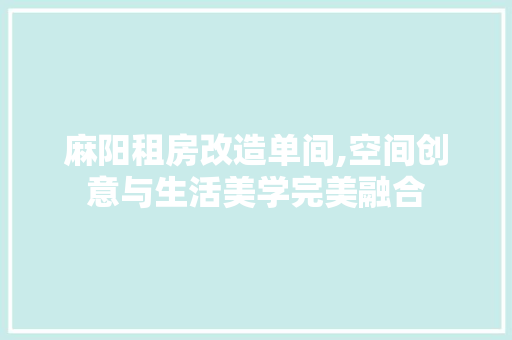 麻阳租房改造单间,空间创意与生活美学完美融合 家电维修