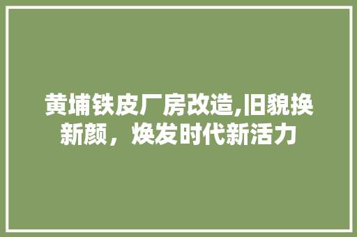 黄埔铁皮厂房改造,旧貌换新颜，焕发时代新活力 综合便民