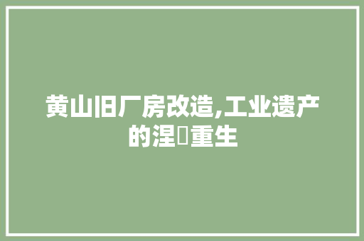 黄山旧厂房改造,工业遗产的涅槃重生 厨房维修