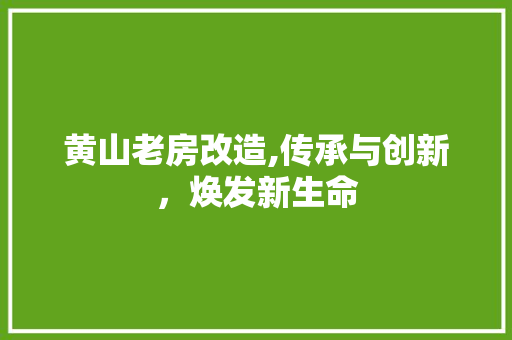黄山老房改造,传承与创新，焕发新生命 墙体维修