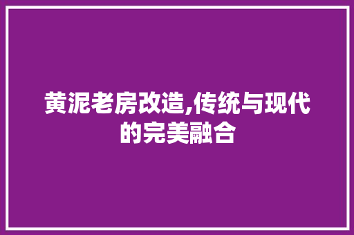 黄泥老房改造,传统与现代的完美融合 综合便民