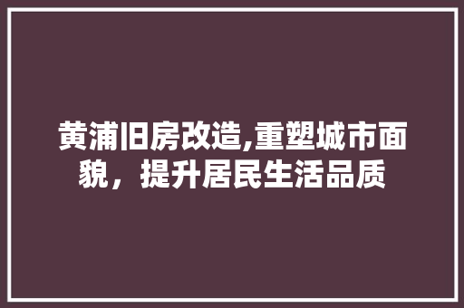 黄浦旧房改造,重塑城市面貌，提升居民生活品质 墙体维修
