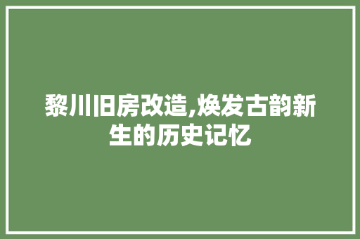 黎川旧房改造,焕发古韵新生的历史记忆 汽车维修