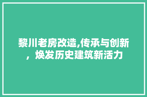 黎川老房改造,传承与创新，焕发历史建筑新活力 家电维修
