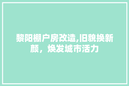 黎阳棚户房改造,旧貌换新颜，焕发城市活力 厨房维修