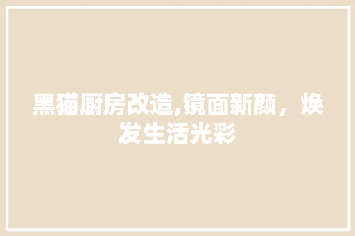 黑猫厨房改造,镜面新颜，焕发生活光彩 厨房维修