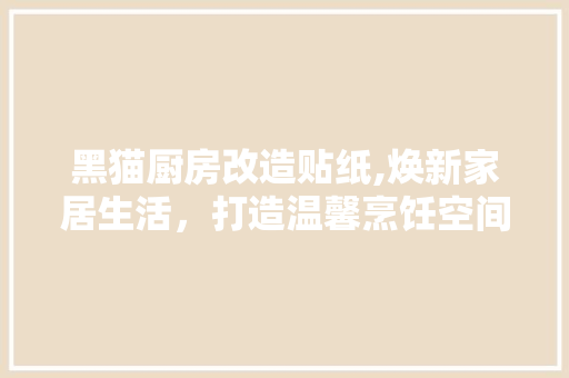 黑猫厨房改造贴纸,焕新家居生活，打造温馨烹饪空间 家电维修