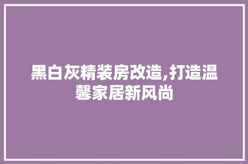 黑白灰精装房改造,打造温馨家居新风尚 厨房维修