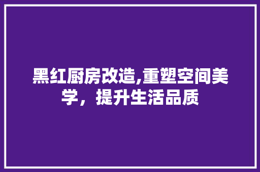 黑红厨房改造,重塑空间美学，提升生活品质 汽车维修