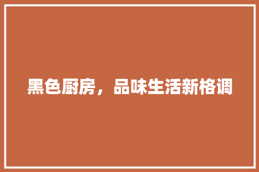 黑色厨房，品味生活新格调 综合便民