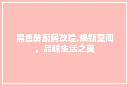 黑色砖厨房改造,焕新空间，品味生活之美 汽车维修
