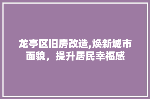 龙亭区旧房改造,焕新城市面貌，提升居民幸福感