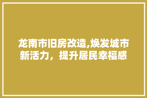 龙南市旧房改造,焕发城市新活力，提升居民幸福感 家电维修