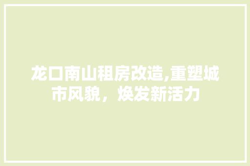 龙口南山租房改造,重塑城市风貌，焕发新活力 家电维修