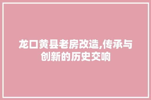 龙口黄县老房改造,传承与创新的历史交响 厨房维修