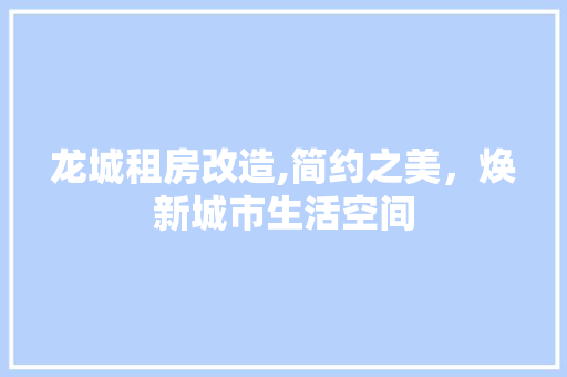 龙城租房改造,简约之美，焕新城市生活空间 综合便民