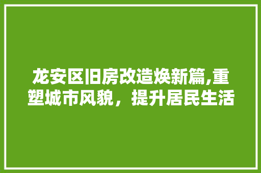 龙安区旧房改造焕新篇,重塑城市风貌，提升居民生活品质 厨房维修