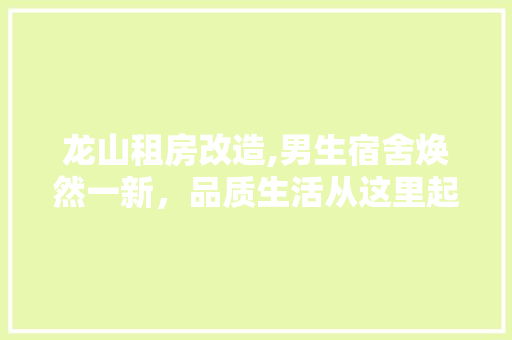 龙山租房改造,男生宿舍焕然一新，品质生活从这里起航 厨房维修