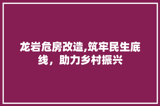 龙岩危房改造,筑牢民生底线，助力乡村振兴