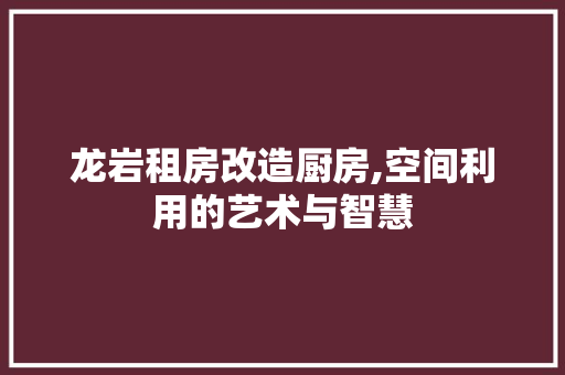 龙岩租房改造厨房,空间利用的艺术与智慧