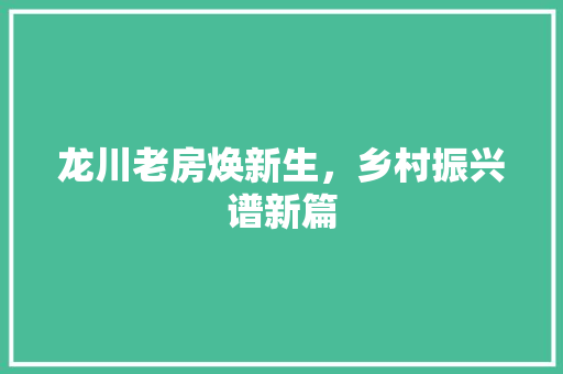 龙川老房焕新生，乡村振兴谱新篇