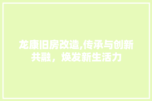 龙康旧房改造,传承与创新共融，焕发新生活力