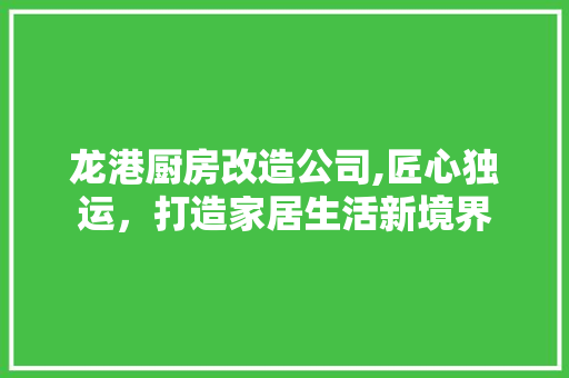 龙港厨房改造公司,匠心独运，打造家居生活新境界 汽车维修