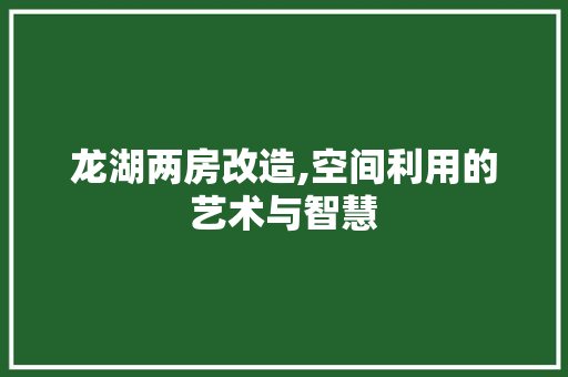 龙湖两房改造,空间利用的艺术与智慧