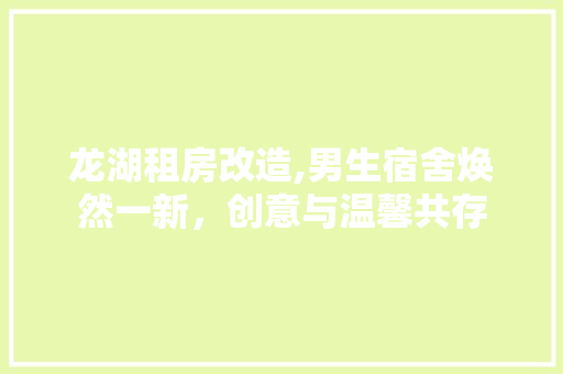 龙湖租房改造,男生宿舍焕然一新，创意与温馨共存