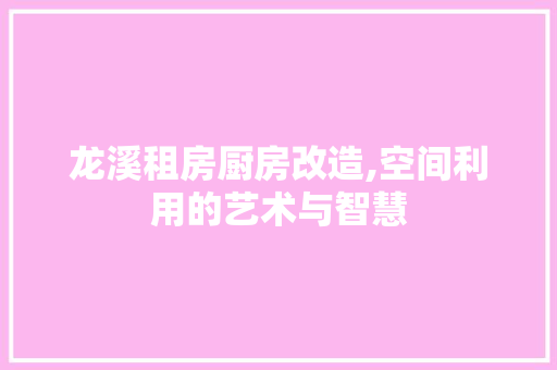 龙溪租房厨房改造,空间利用的艺术与智慧