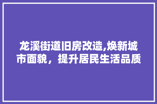 龙溪街道旧房改造,焕新城市面貌，提升居民生活品质 综合便民