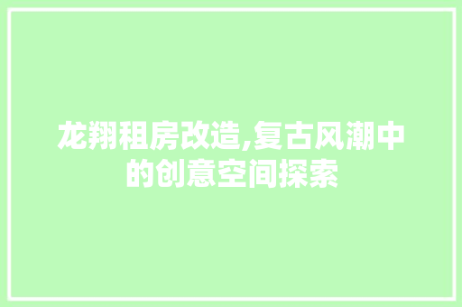 龙翔租房改造,复古风潮中的创意空间探索