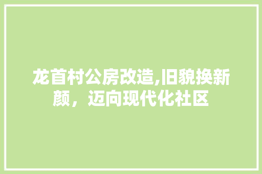 龙首村公房改造,旧貌换新颜，迈向现代化社区 汽车维修