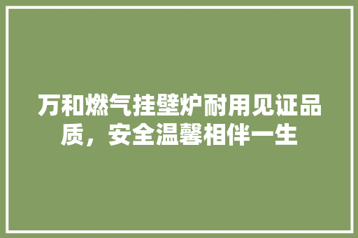万和燃气挂壁炉耐用见证品质，安全温馨相伴一生 墙体维修