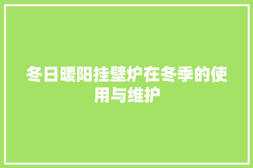 冬日暖阳挂壁炉在冬季的使用与维护 汽车维修