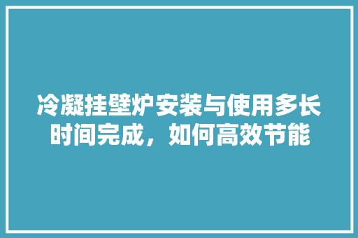 冷凝挂壁炉安装与使用多长时间完成，如何高效节能 家电维修