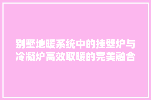 别墅地暖系统中的挂壁炉与冷凝炉高效取暖的完美融合 厨房维修