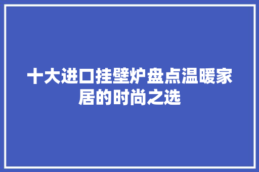 十大进口挂壁炉盘点温暖家居的时尚之选 厨房维修