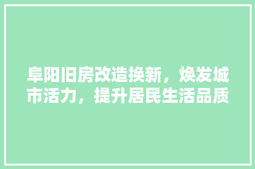 阜阳旧房改造换新，焕发城市活力，提升居民生活品质