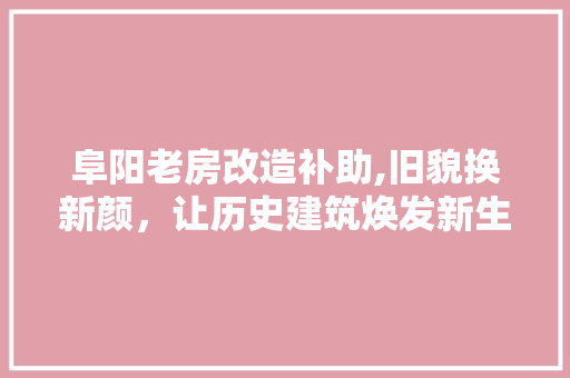 阜阳老房改造补助,旧貌换新颜，让历史建筑焕发新生