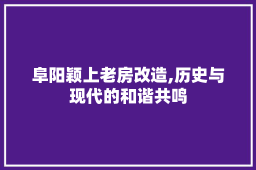 阜阳颖上老房改造,历史与现代的和谐共鸣