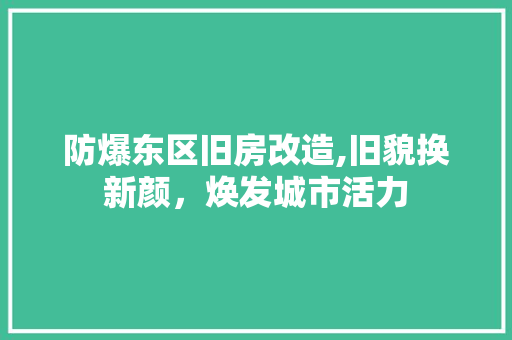 防爆东区旧房改造,旧貌换新颜，焕发城市活力