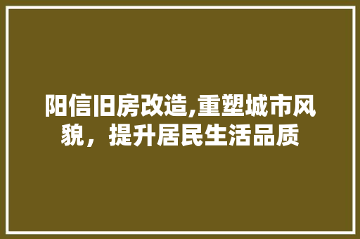 阳信旧房改造,重塑城市风貌，提升居民生活品质