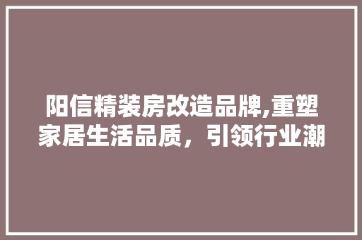 阳信精装房改造品牌,重塑家居生活品质，引领行业潮流