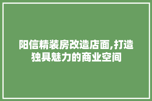 阳信精装房改造店面,打造独具魅力的商业空间
