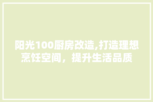 阳光100厨房改造,打造理想烹饪空间，提升生活品质