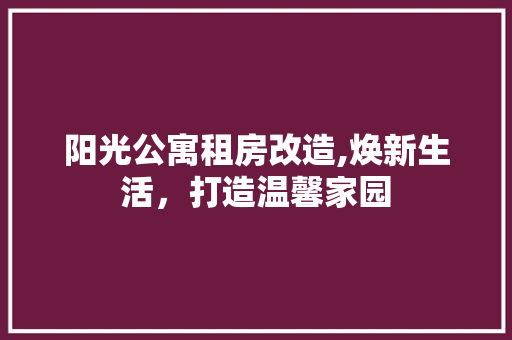 阳光公寓租房改造,焕新生活，打造温馨家园