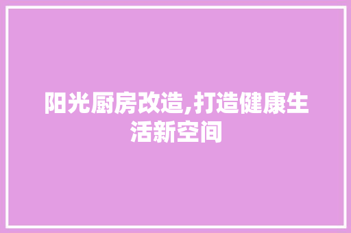 阳光厨房改造,打造健康生活新空间 综合便民