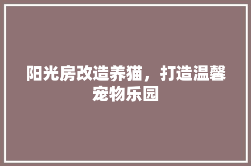 阳光房改造养猫，打造温馨宠物乐园 墙体维修