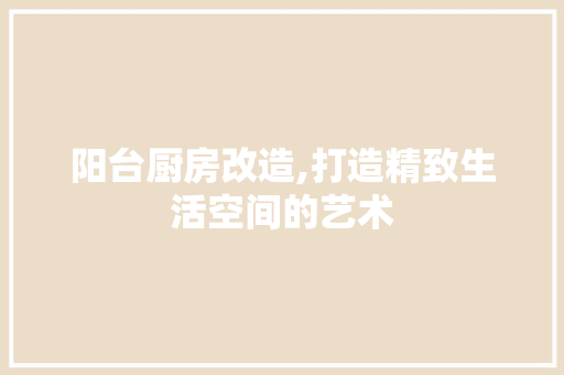 阳台厨房改造,打造精致生活空间的艺术 厨房维修